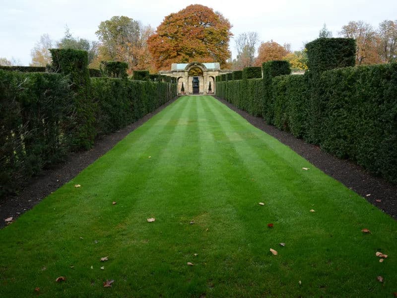 A traditional English cottage garden with colorful flowers