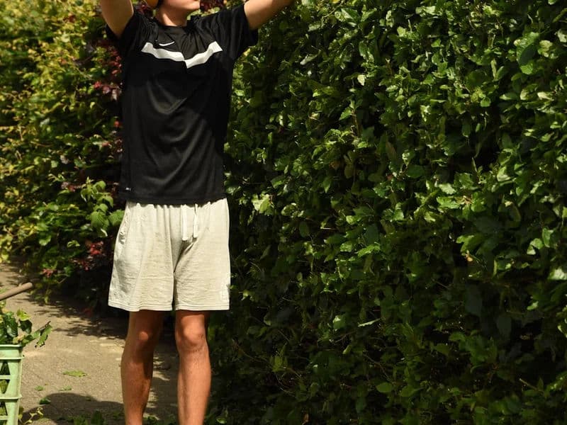 Reducing an overgrown hedge back to a manageable size and shape