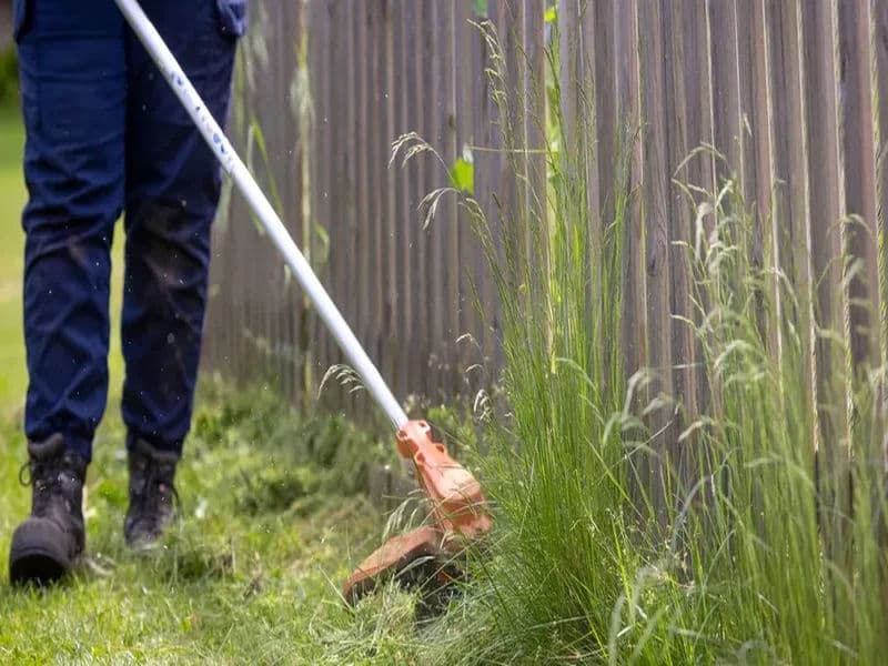 Precise lawn edging creating clean borders between grass and garden beds