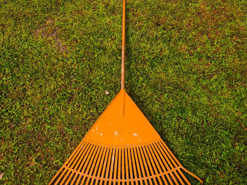 Scarifier machine removing thatch and moss from a lawn surface